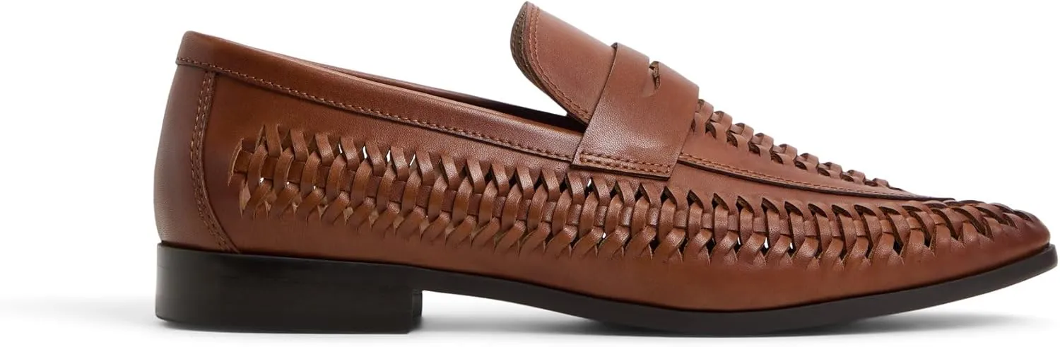 ALDO Men's Danilo Loafer