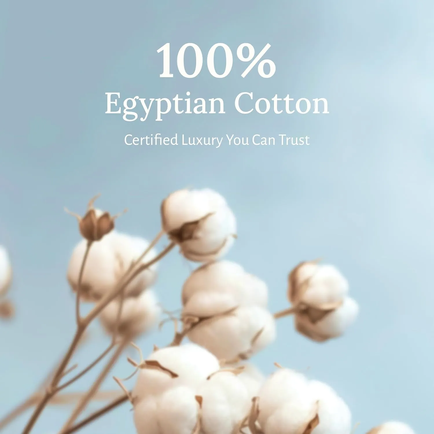 California Design Den Certified Luxury 100% Egyptian Cotton Sheets California King Size Set - Soft Sateen, Deep Pockets, Cool and Durable Bedding Sheets & Pillowcases Set - Ivory