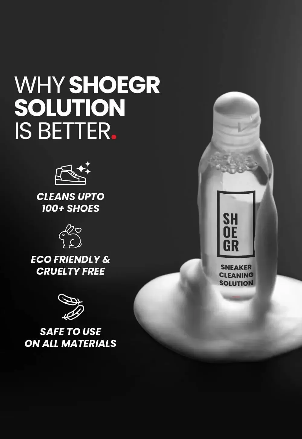 Essential Shoe Cleaning Kit