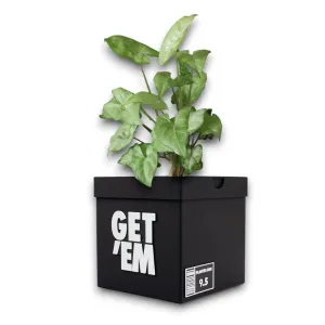 Get 'Em Sneakers Box Planter Pot 3D Printed - Black Sneakers Box Decor- Plant Pot for Indoor Plants - Unique planter for indoor with Drainage hole- MADE IN USA