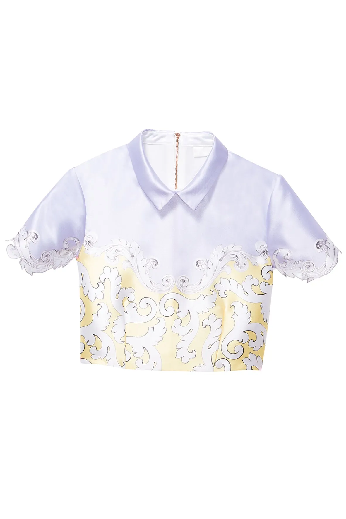 Hall of Frame pointed flat collar Cropped top