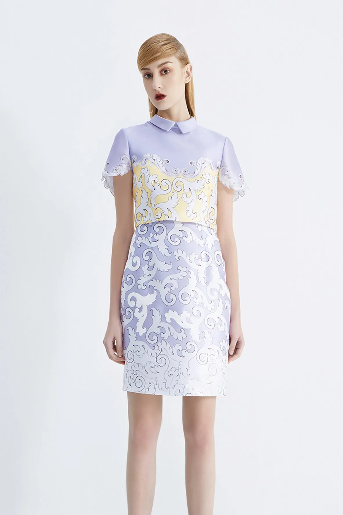 Hall of Frame pointed flat collar Cropped top
