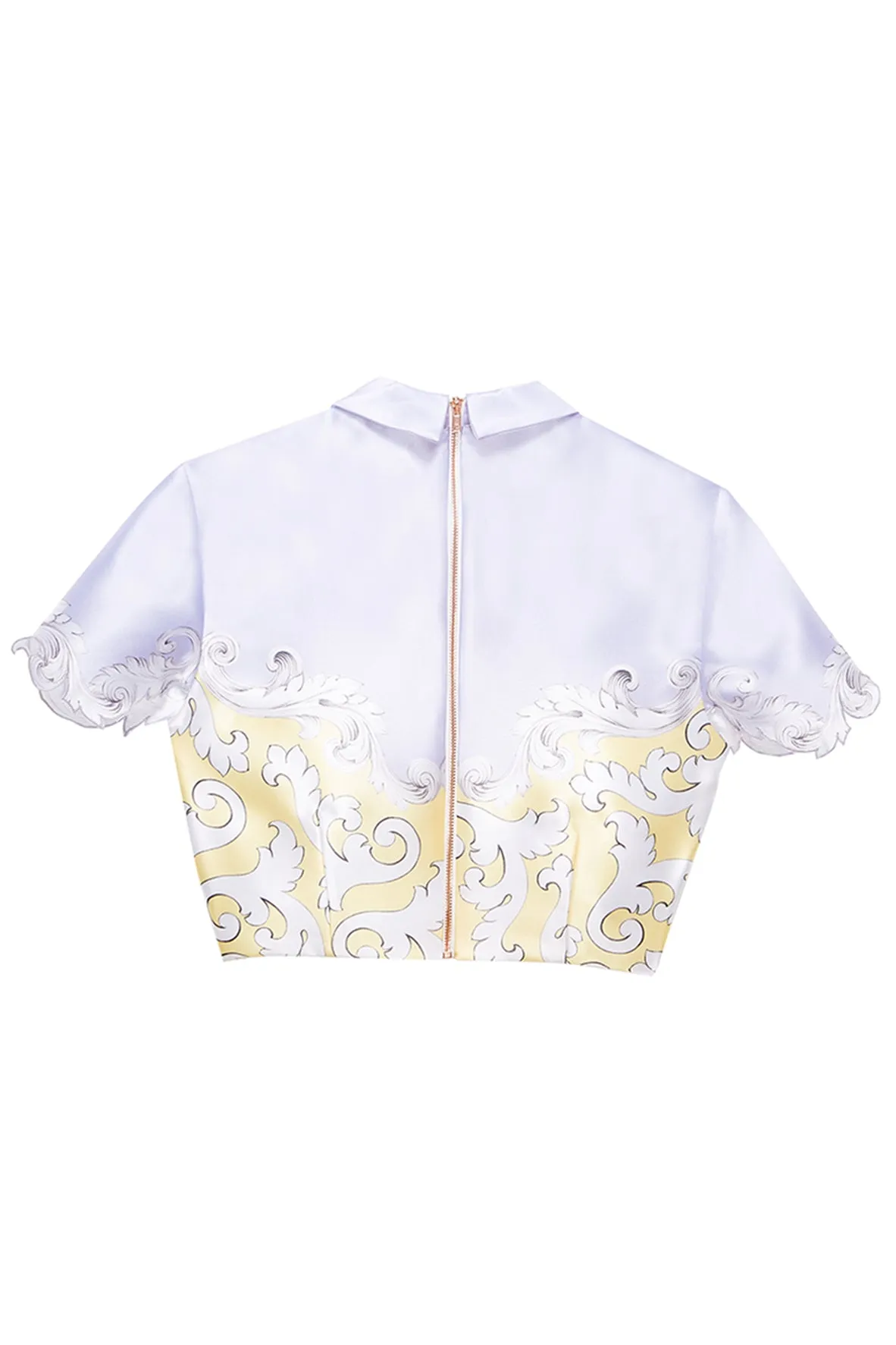 Hall of Frame pointed flat collar Cropped top