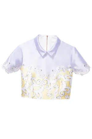 Hall of Frame pointed flat collar Cropped top
