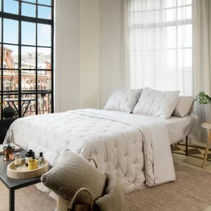 J'Chervianne Embroidery Queen Comforter Set - 7 Pieces Bed in a Bag Set, All Season Soft Bedding Sets with Comforter, Pillow Shams, Flat Sheet, Fitted Sheet and Pillowcases (Beige, Queen)
