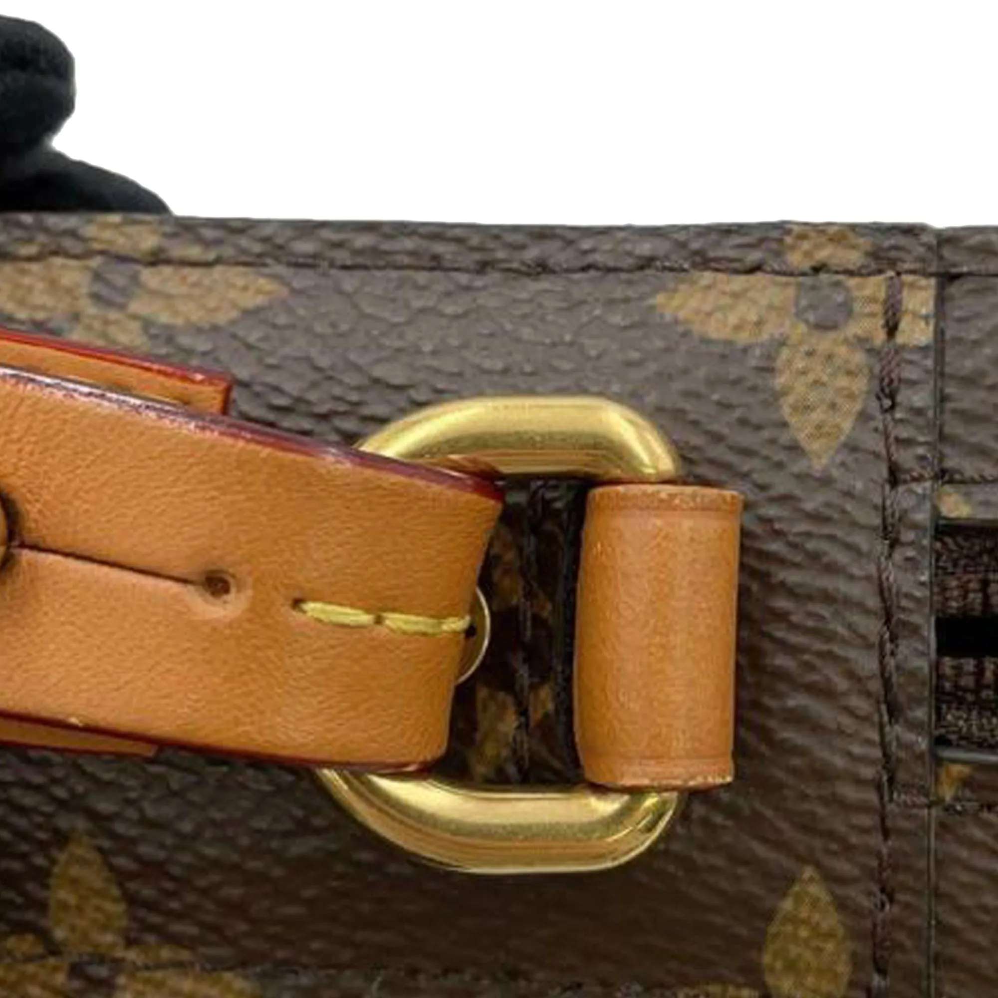 Monogram Soft Trunk Pouch
