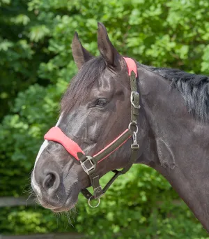 Waldhausen Headcollar Premium Soft