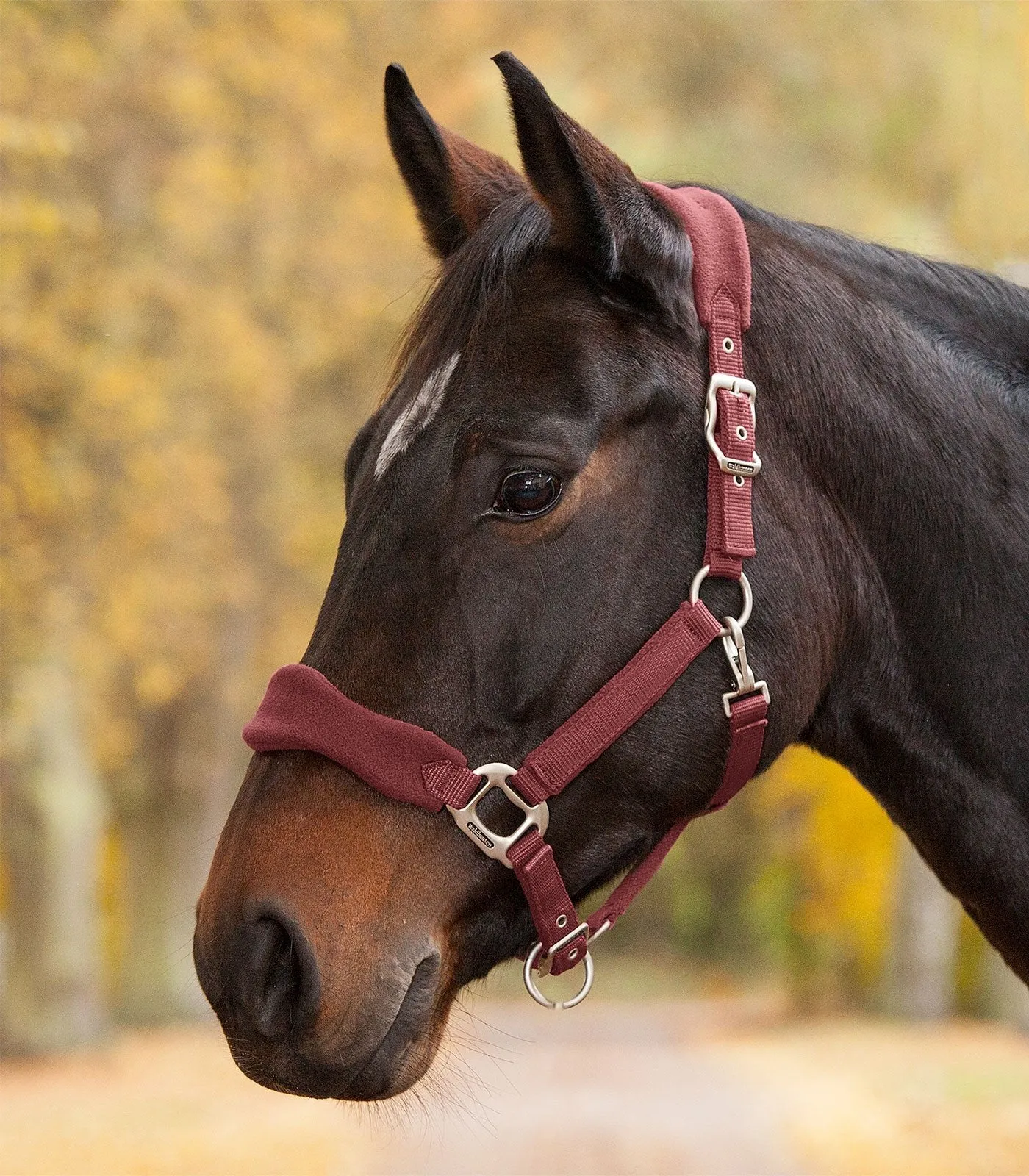 Waldhausen Headcollar Premium Soft